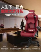 脊椎病严重，人体工学椅适合所有人吗？
